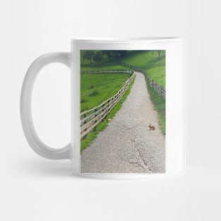 Bunny Crossing Mug